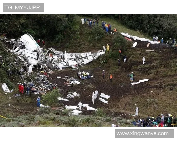 足球明星乘坐航班不幸坠毁震惊全球球迷与体育界的悲剧事件