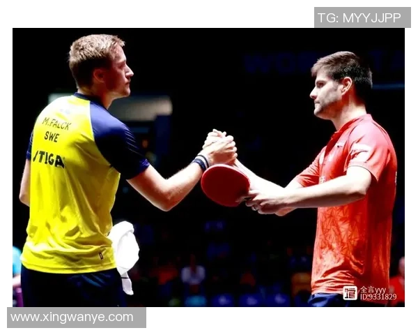 重庆乒乓球队的区域防守策略解析与深度剖析