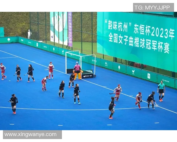 武汉排球队杯赛个人能力分析与表现评估